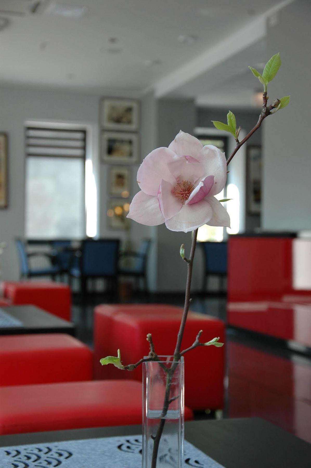 Hotel Opera Tarnowskie Góry Kültér fotó